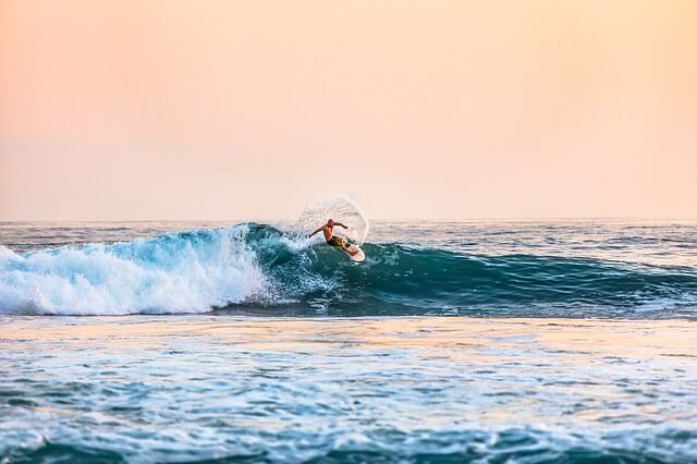 surf board rental